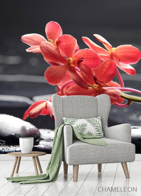 Фотообои Коралловые цветы - 3