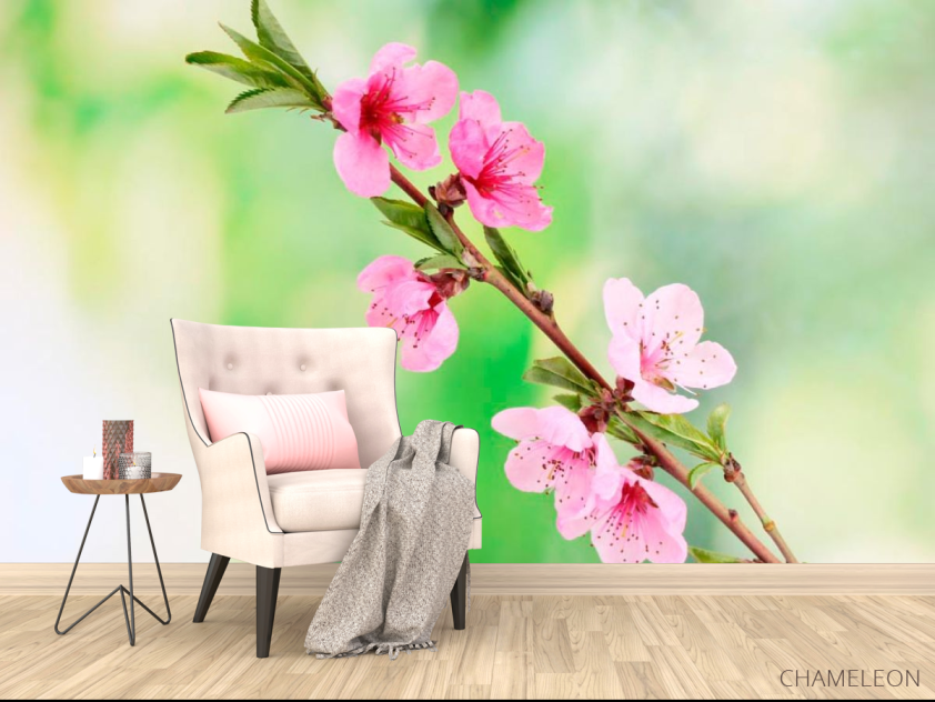 Фотообои Распустившиеся цветы весной - 4