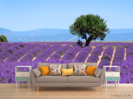 Фотообои сиреневое поле - 1