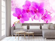 Фотообои Орхидеи - 3