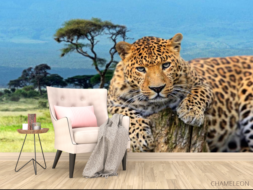 Фотообои Гепард перед прыжком - 4
