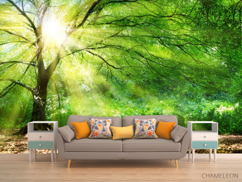 Фотообои солнце сквозь крону - 1