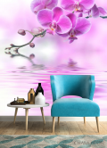 Фотообои розовая орхидея над водой - 4