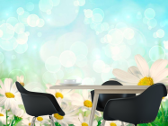 Фотошпалери Білосніжні ромашки - 1