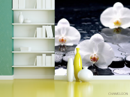 Фотошпалери Орхідеї на чорних каменях - 3