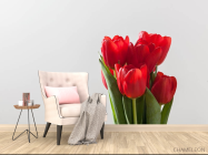 Фотообои красные тюлипаны - 4