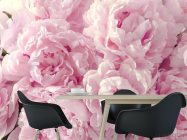 Фотошпалери пухнасті рожеві півонії - 1