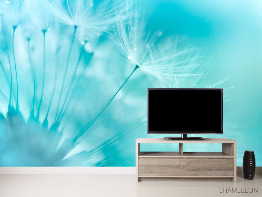 Фотообои Одуванчик в небе - 2