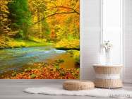 Фотошпалери яскравий осінній ліс - 2