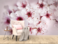 Фотообои цвет вишни - 4