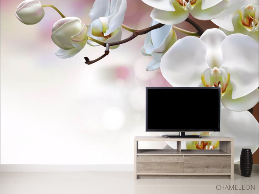 Фотообои Орхидеи - 2