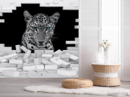 Фотошпалери Леопард - 2