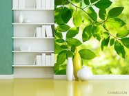 Фотошпалери зелене листя на дереві - 3