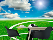 Фотообои Мяч на поле - 1