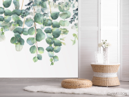 Фотошпалери Евкаліптові листя - 2