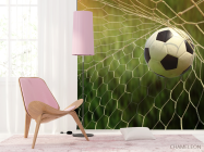 Фотошпалери м'яч у воротах - 4
