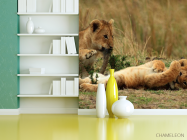 Фотошпалери Ігри левенят - 3