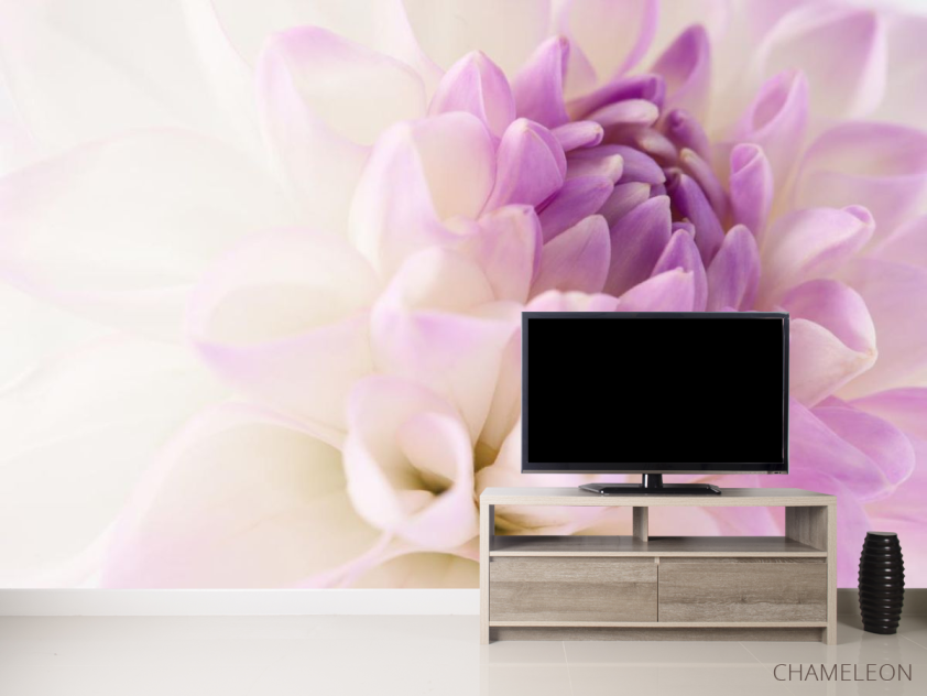 Фотообои бело-сиреневый цветок - 2