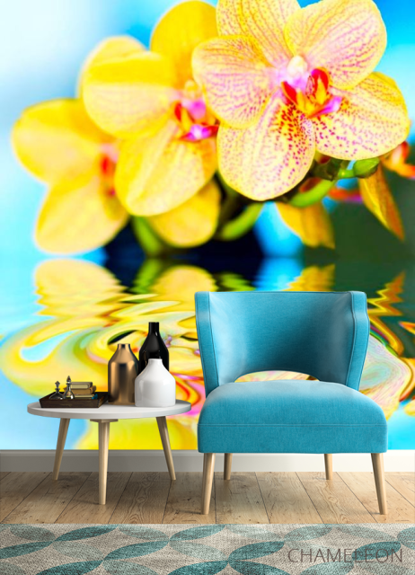 Фотообои Желтые орхидеи - 4