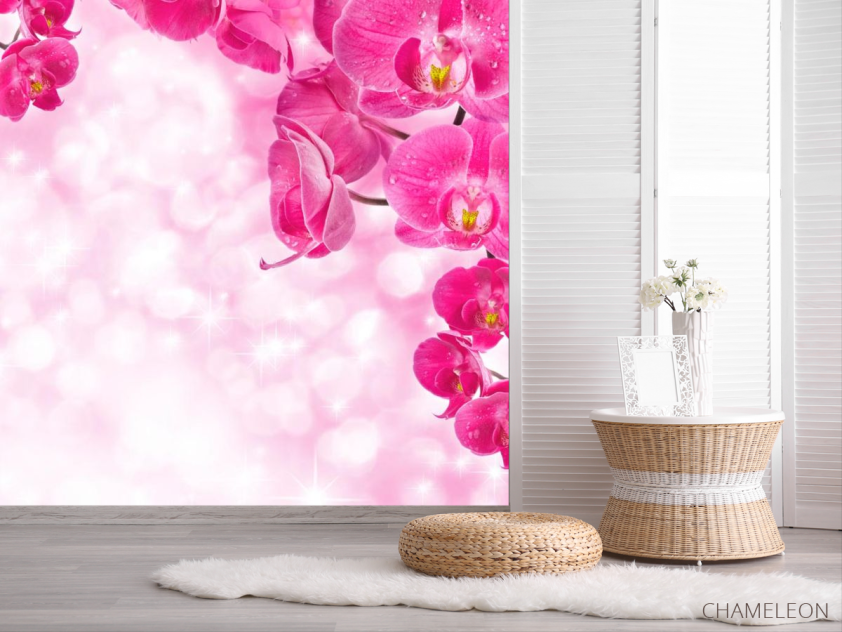 Фотошпалери Рожеві орхідеї і вода - 2