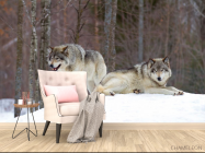 Фотообои два волка на снегу - 4