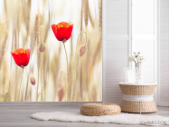 Фотошпалери Маки в полі - 2