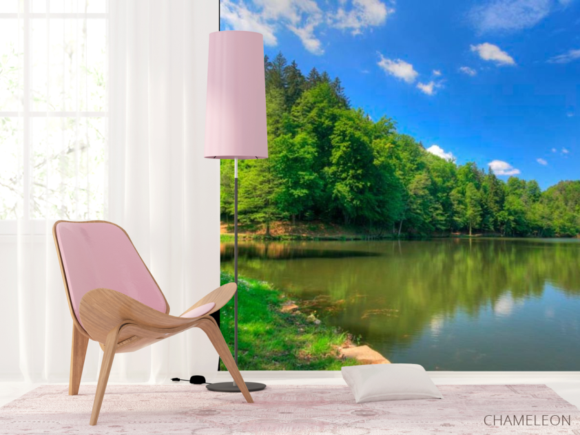 Фотошпалери Тихий ліс - 4