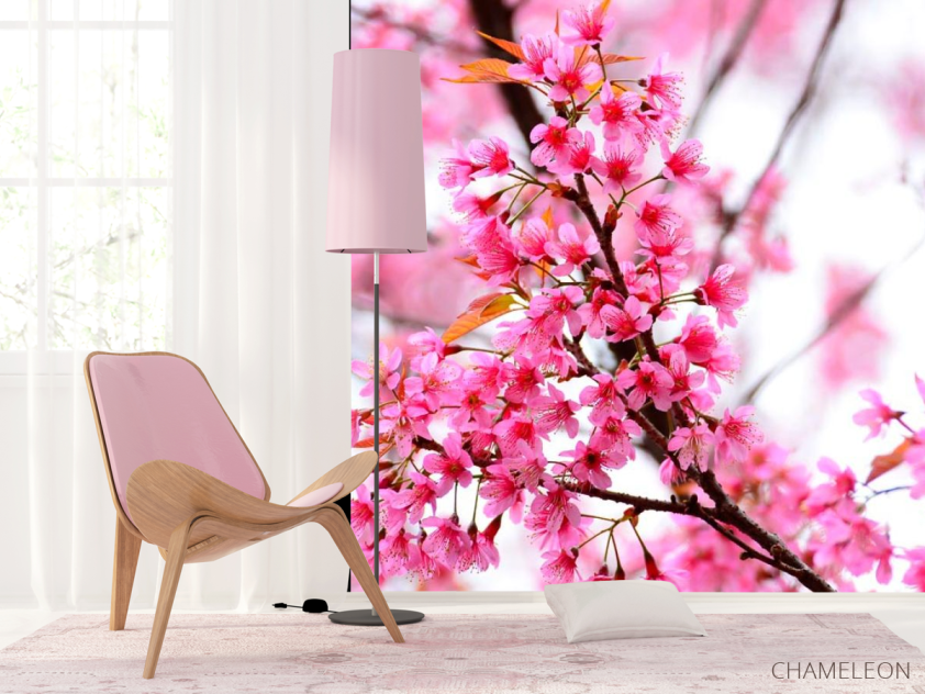 Фотошпалери Квітуче рожеве дерево - 4