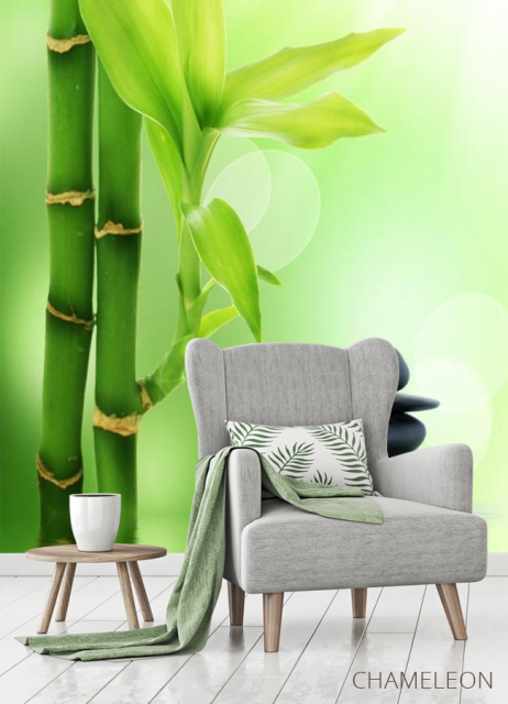 Фотообои бамбук в воде - 3