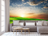 Фотообои Трава, небо - 3