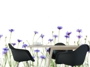 Фотошпалери Волошки сині - 1