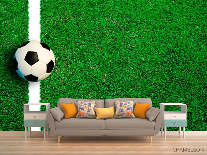 Фотообои Мяч на линии - 1