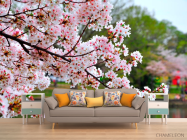 Фотообои Цветущий вишневый сад - 1