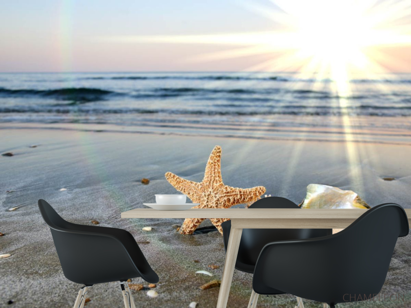 Фотошпалери Мушлі на березі - 1