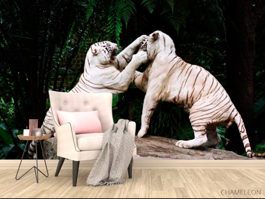 Фотообои Драка белых тигров - 4