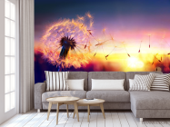 Фотообои одуванчик закат - 3