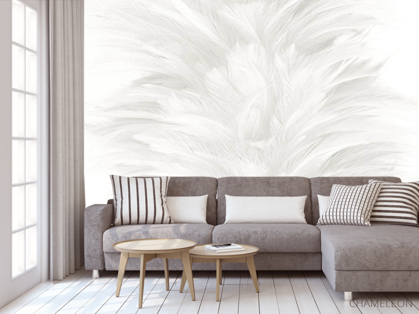 Фотообои Белые перья - 3