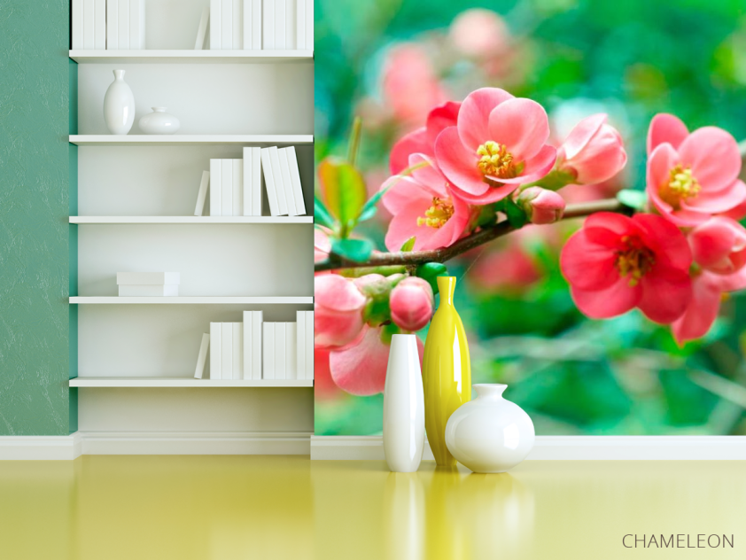 Фотошпалери Імбир кораловий - 3