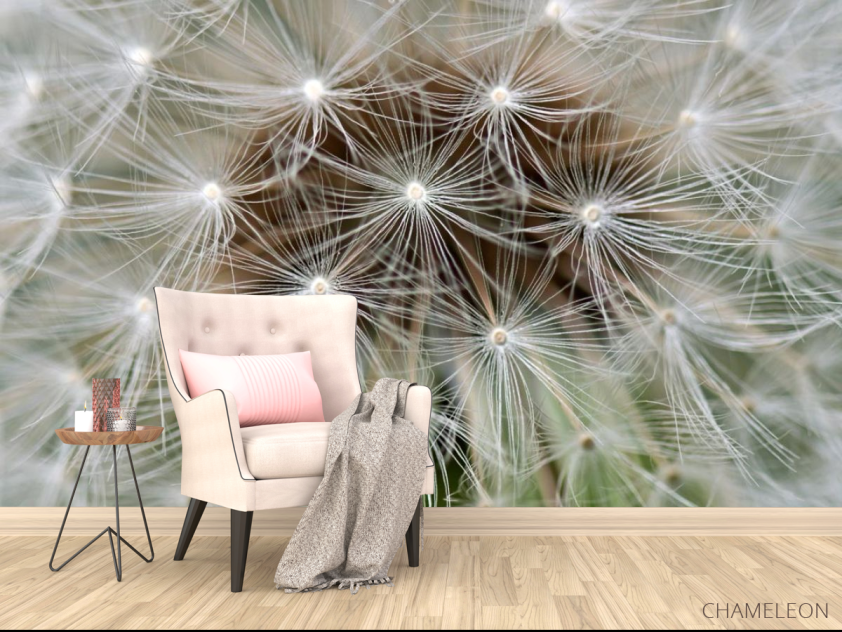 Фотообои семена на одуванчике - 4