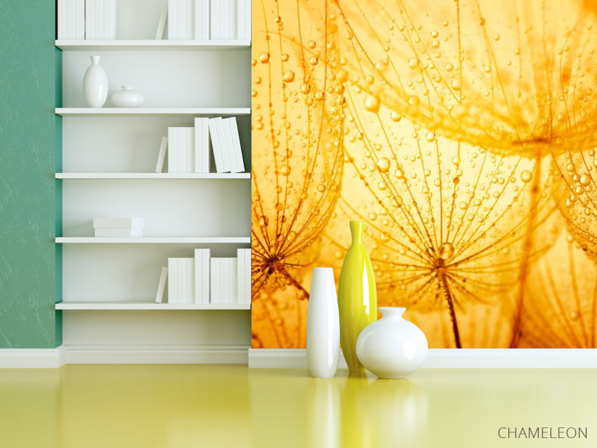 Фотошпалери помаранчевий кульбаба - 3