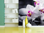 Фотошпалери Білі й чорні орхідеї - 3