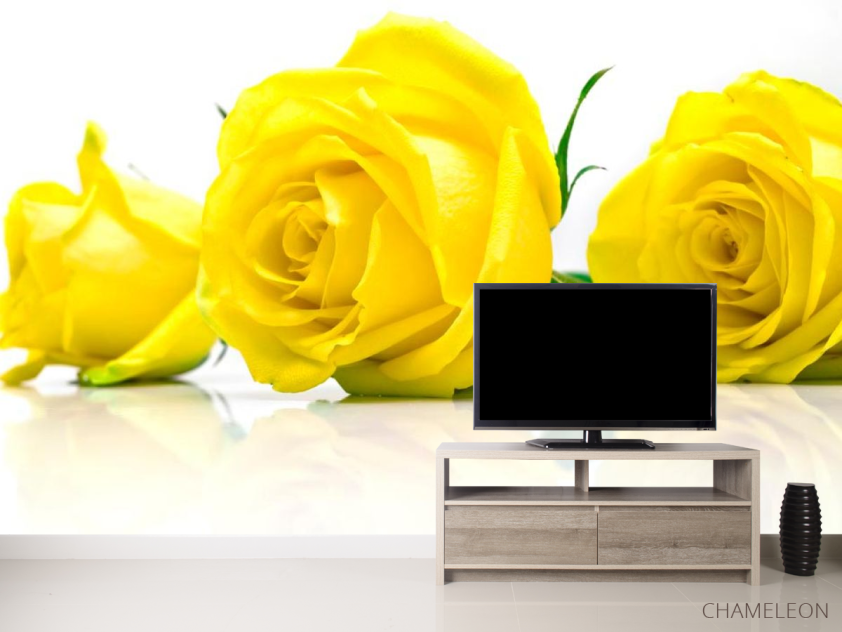 Фотообои Розы желтые - 2