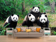 Фотообои Панды в лесу - 1