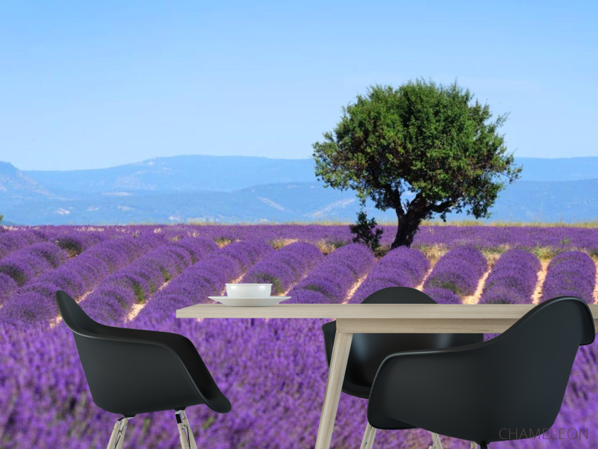 Фотошпалери бузкове полі - 1