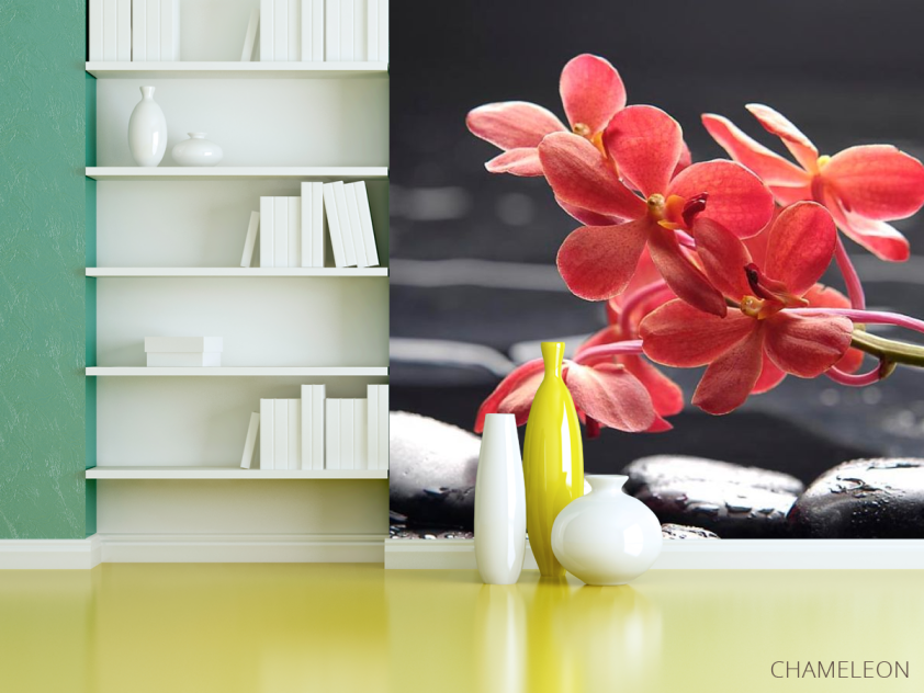 Фотошпалери Коралові квіти - 3