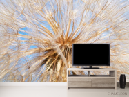 Фотообои Одуванчик - 2