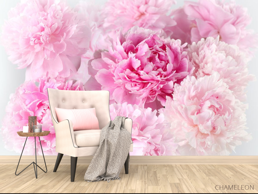 Фотообои Розовые пионы - 4