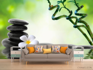 Фотообои Веточки, камни, цветок - 1