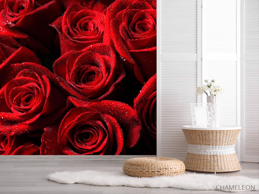 Фотошпалери Букет троянд червоного кольору - 2
