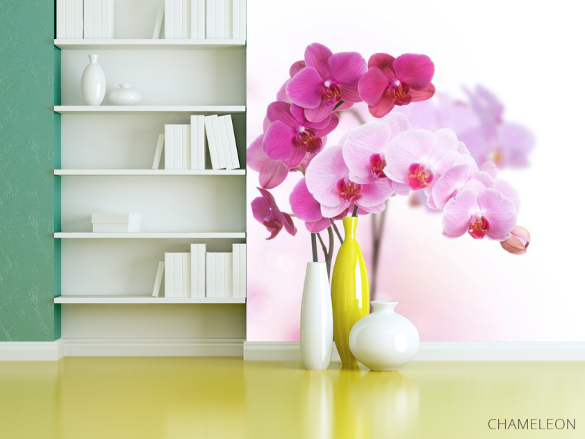 Фотообои Белые и розовые орхидеи - 3